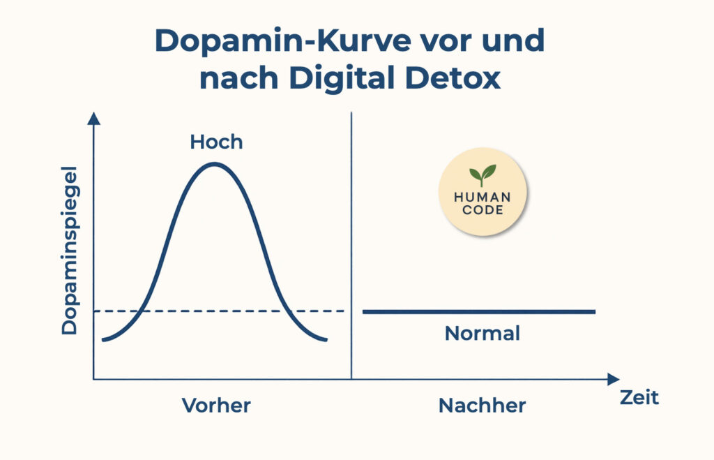 Diagramm zeigt Dopaminspiegel vor und nach einem Digital Detox: Hoher Anstieg durch Bildschirmnutzung und Normalisierung nach Offline-Phase.
