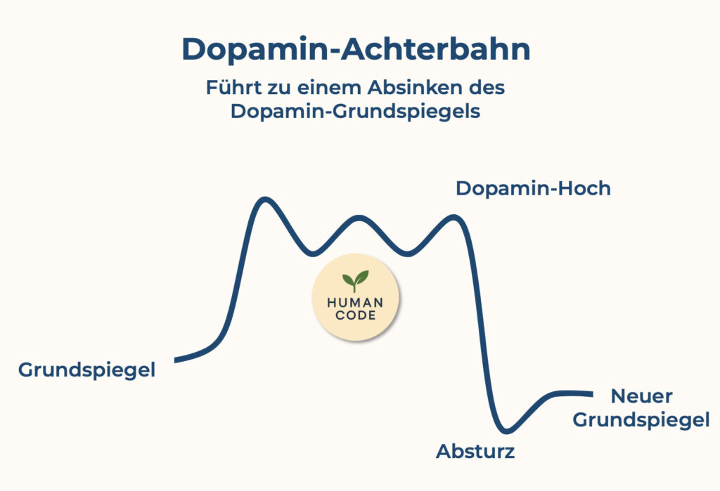 Diagramm der Dopamin-Achterbahn: Anstieg und Abfall des Dopaminspiegels mit Grundspiegel, Dopamin-Hoch, Absturz und neuem Grundspiegel.