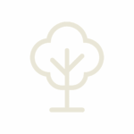 Human Code Icon Natur – minimalistisches Baum-Symbol auf transparentem Hintergrund, Symbol für Balance, Erdung und innere Ruhe.