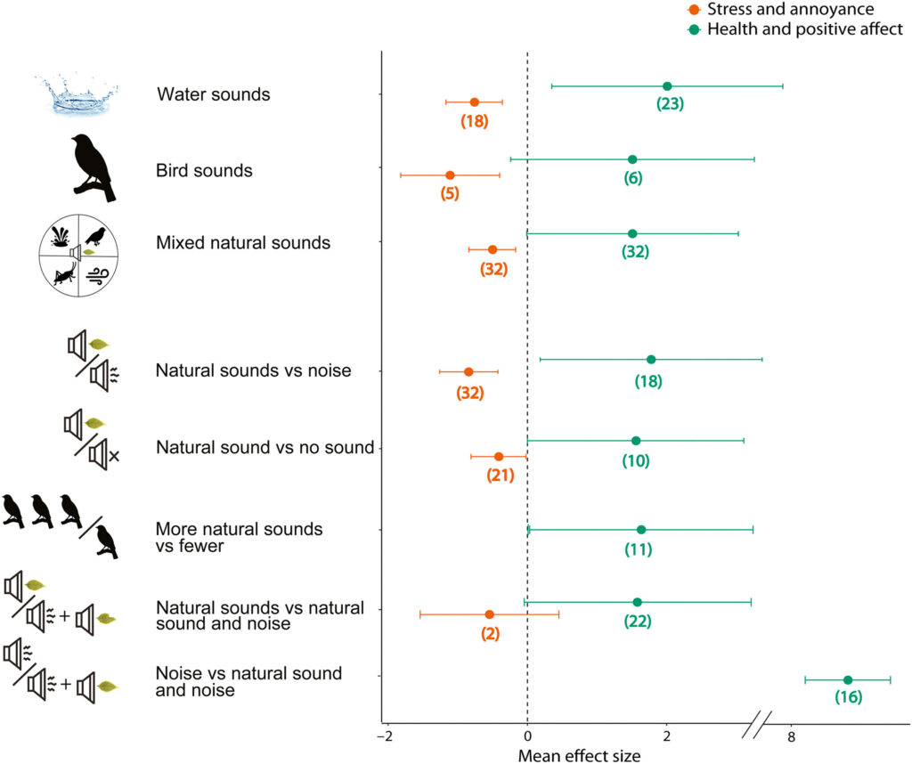 Grafik einer Meta-Analyse zu Naturgeräuschen: Wassergeräusche verbessern Wohlbefinden am stärksten, während Vogelgesang besonders effektiv Stress und Lärmbelastung reduziert.